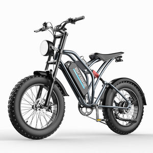 Electric Bike 1000W 48V/20Ah Dual Suspension Fat Tire E Bike E Bicycle for Adult