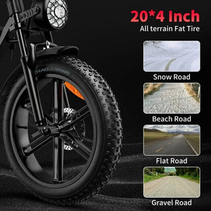 Electric Bike 1500W 48V/20Ah Dual Suspension Fat Tire E Bike E Bicycle for Adult