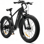 26" Mountain Electric Bike for Adults, 750W Fat Tire Mtb/Road Ebike 48V 20AH US