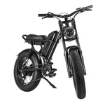 20" Ebike Electric Bike Fat Tire E-Bike 500W Mountain Bicycle Long Range Battery