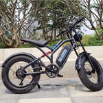 Electric Bike 1000W 48V/20Ah Dual Suspension Fat Tire E Bike E Bicycle for Adult